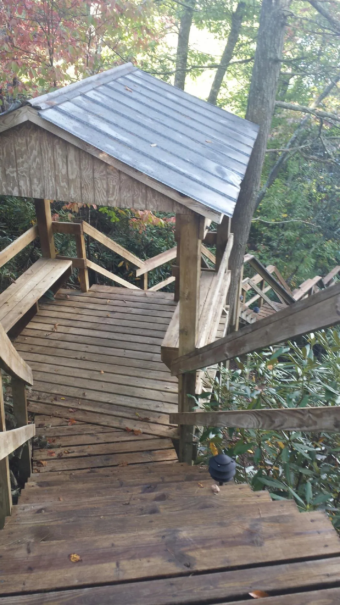 Metal roofed shelter over wooden steps on a wooded walkway — Skylight Repair & Installation work by our crew in Rich Square